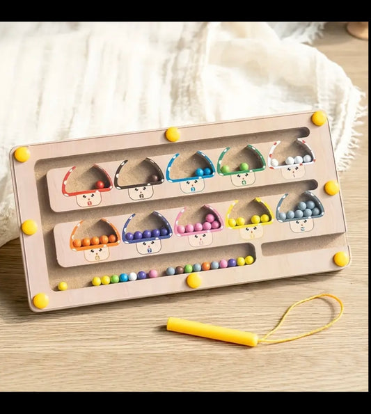 Magnetic Maze